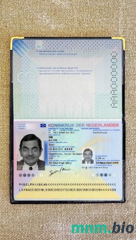 Holandia paszport (2014-obecnie) wygląd zdjęcia pliki PSD, skan i fotografowany obraz